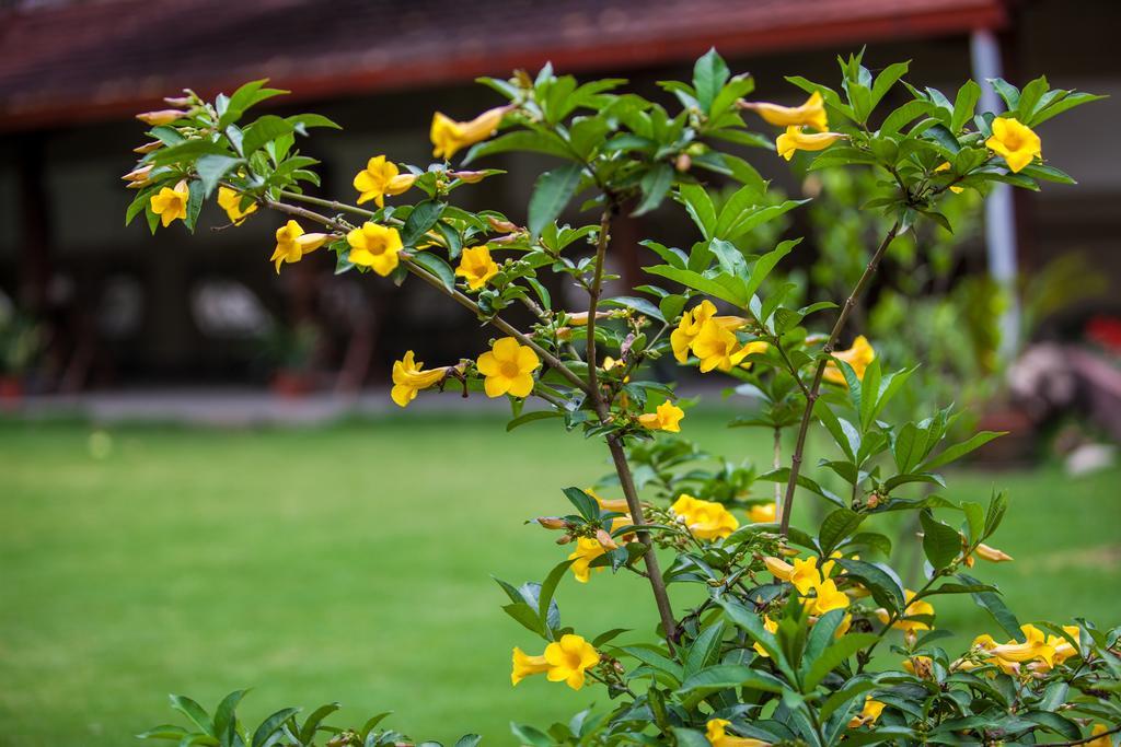 Shambaling Boutique Hotel Kathmandu Exterior foto